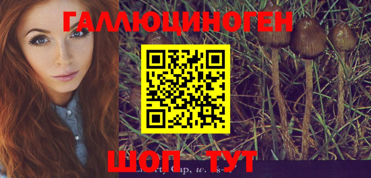 Чернушка  Галлюциногенные грибы ЛСД  Вход с VPN 