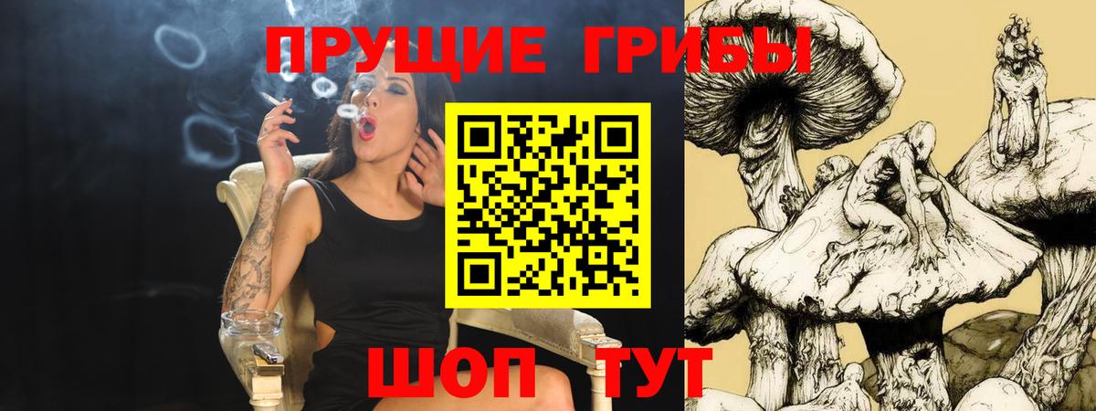 Галлюциногенные грибы GOLDEN TEACHER Чернушка