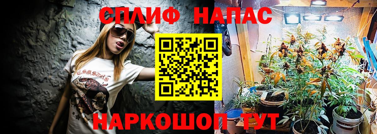 Бошки Шишки MAZAR Чернушка